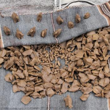 Foto de LA COSTUMBRE: EL SABER DE LA QUINUA