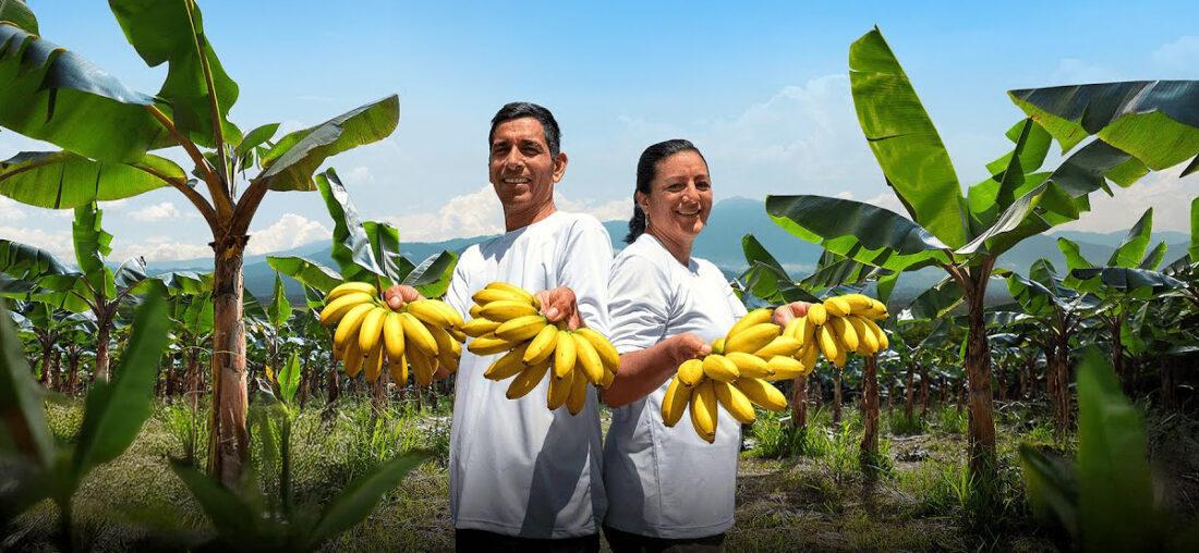 DE LA MANO CON LO NUESTRO: WONG IMPULSA EL CONSUMO DE PLÁTANOS ORGÁNICOS DEL ALTO HUALLAGA