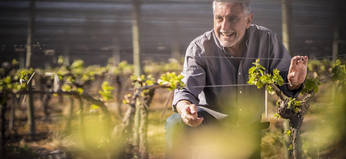 JOSÉ ALBERTO ZUCCARDI: DE MAIPÚ HASTA VALLE DE UCO, LA HUELLA DE UNA FAMILIA