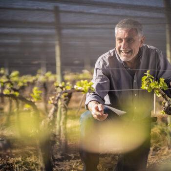 Foto de JOSÉ ALBERTO ZUCCARDI: DE MAIPÚ HASTA VALLE DE UCO, LA HUELLA DE UNA FAMILIA