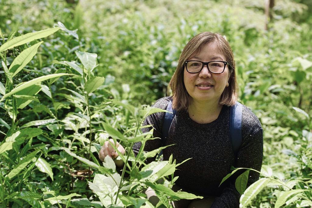 MARGARITA HISHIKAWA: LA DAMA DEL TÉ