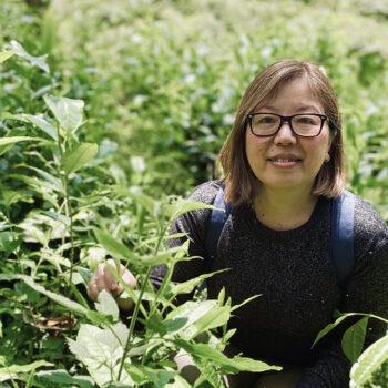 Foto de MARGARITA HISHIKAWA: LA DAMA DEL TÉ