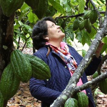 Foto de LUCHI NARVÁEZ: LOS SABORES DEL CACAO