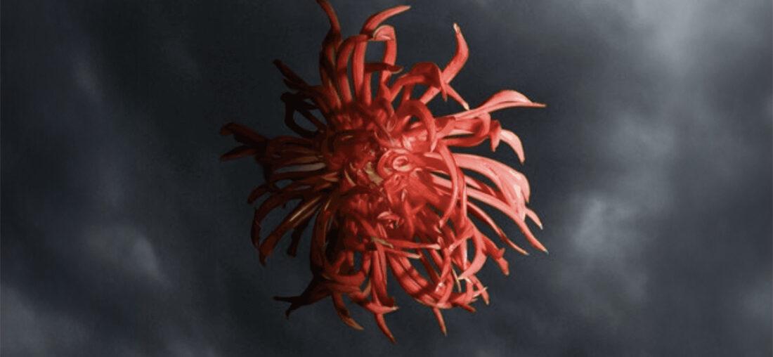 CIELO SONORO, UNA RESIDENCIA FOTOGRÁFICA CON MATER