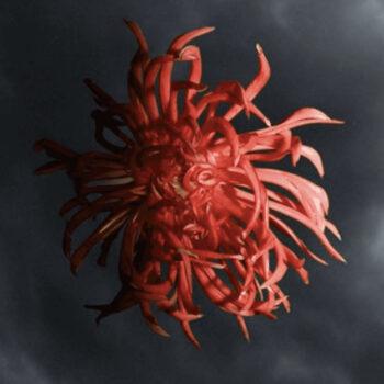 Foto de CIELO SONORO, UNA RESIDENCIA FOTOGRÁFICA CON MATER