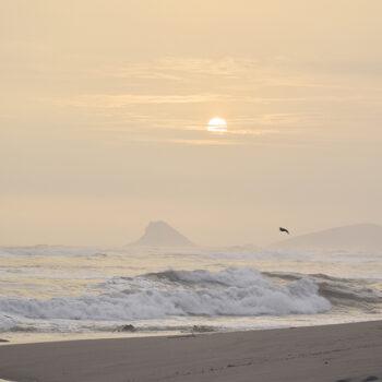 Foto de ¿DÓNDE COME Y BEBE LUIS «EL CHINO» FLORES EN PUNTA HERMOSA?