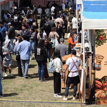 Foto de UN VERANO PARA BEBER UNA TACITA (O VARIAS) DE CAFÉ