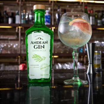 Foto de EL CLÁSICO LONDON DRY GIN CON TOQUES ANDINOS Y 2 RECETAS CLÁSICAS PARA EXPLORAR