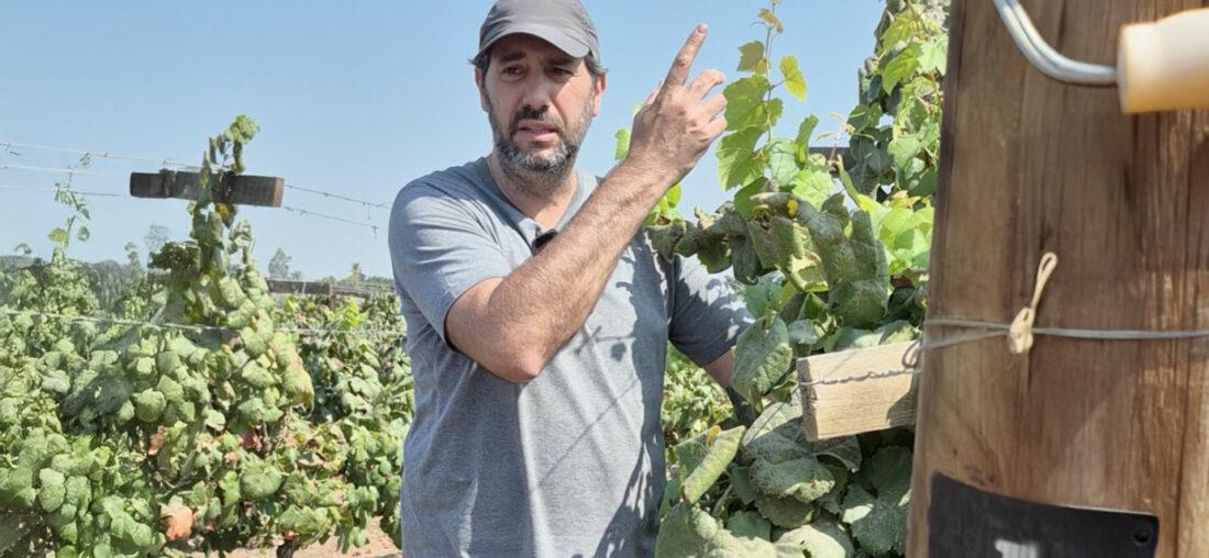 LUIS GÓMEZ: “LA ENOLOGÍA TIENE MÁS DE MATEMÁTICA QUE DE MAGIA”