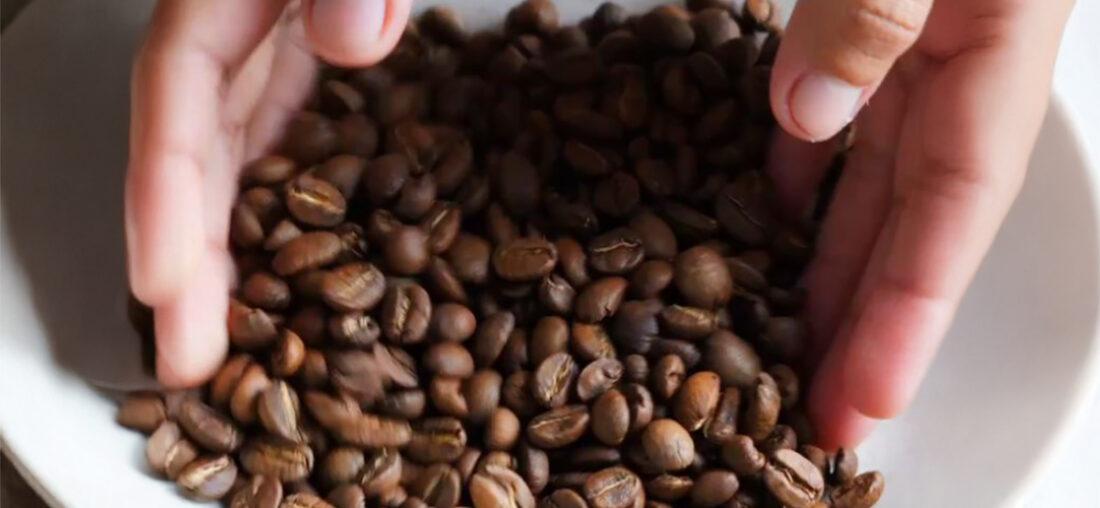 CAFESTIVAL: UN NUEVO PUNTO DE ENCUENTRO PARA EL CAFÉ DE ESPECIALIDAD