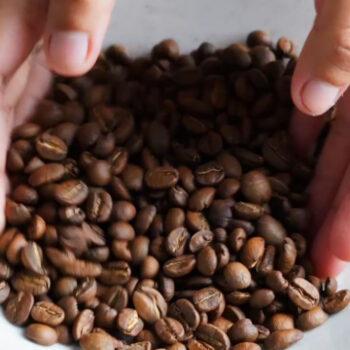 Foto de CAFESTIVAL: UN NUEVO PUNTO DE ENCUENTRO PARA EL CAFÉ DE ESPECIALIDAD