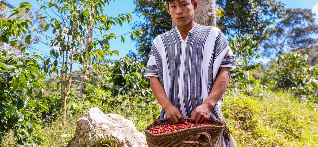 OVENTENI: EL CAFÉ AMAZÓNICO QUE UKAW QUIERE PONER EN EL MAPA