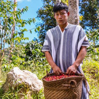 Foto de OVENTENI: EL CAFÉ AMAZÓNICO QUE UKAW QUIERE PONER EN EL MAPA